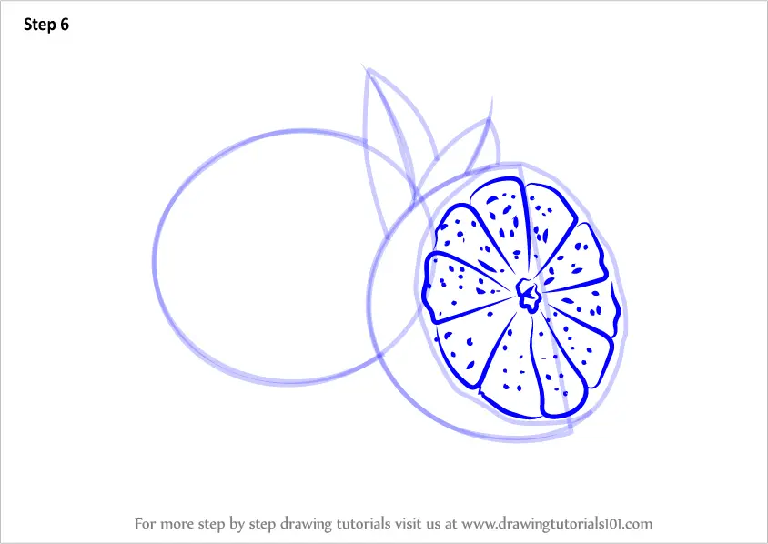 Step by Step How to Draw a Sliced Lime