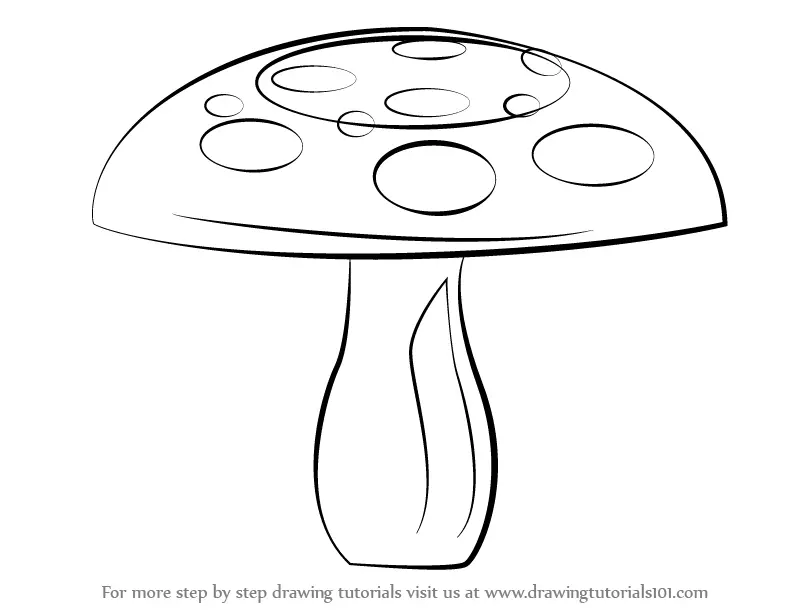 Learn How To Draw A Mushroom Mushrooms Step By Step Drawing Tutorials 6216