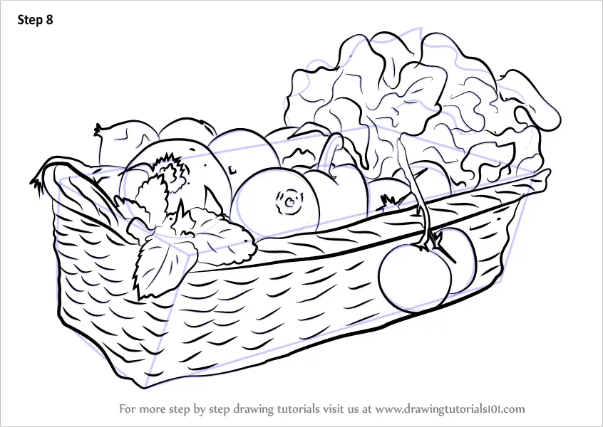 Learn How to Draw Vegetable Basket (Vegetables) Step by Step : Drawing