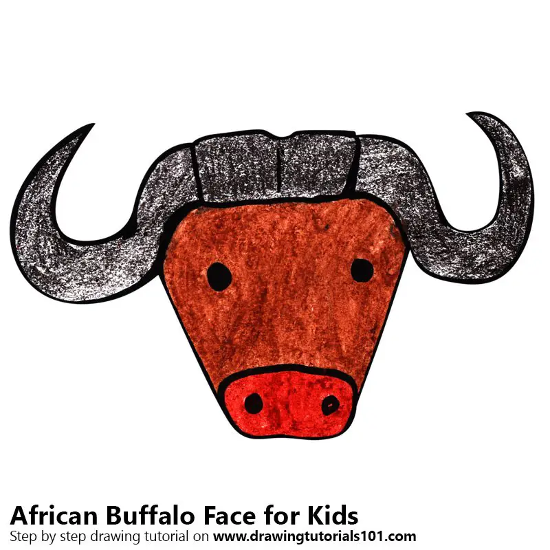 Learn How to Draw an African Buffalo Face for Kids (Animal Faces for