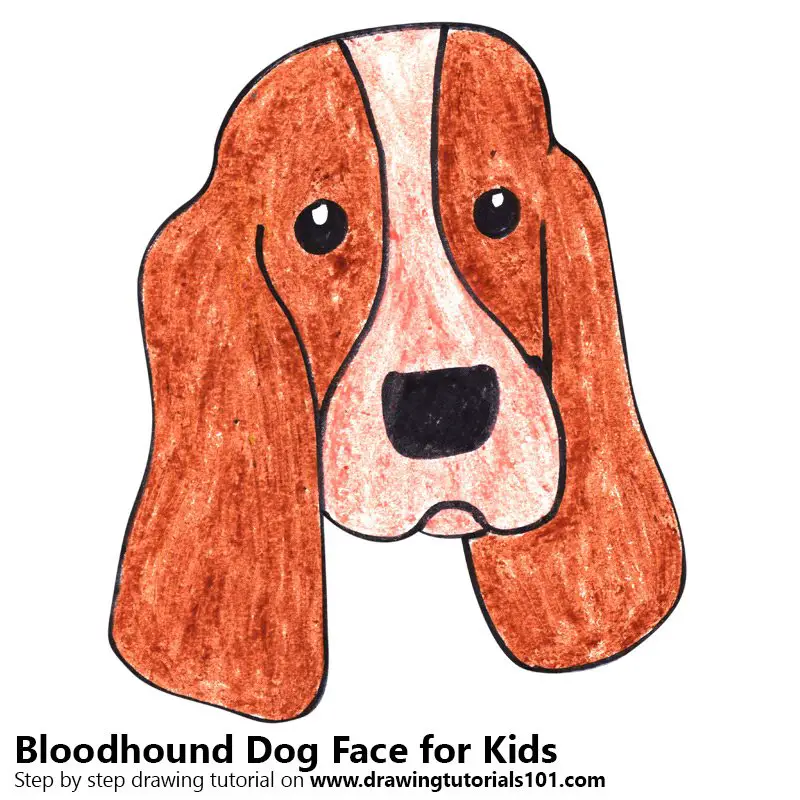 Learn How to Draw a Bloodhound Dog Face for Kids (Animal Faces for Kids