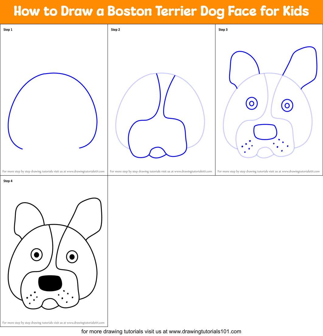 How to Draw a Boston Terrier Dog Face for Kids printable step by step ...