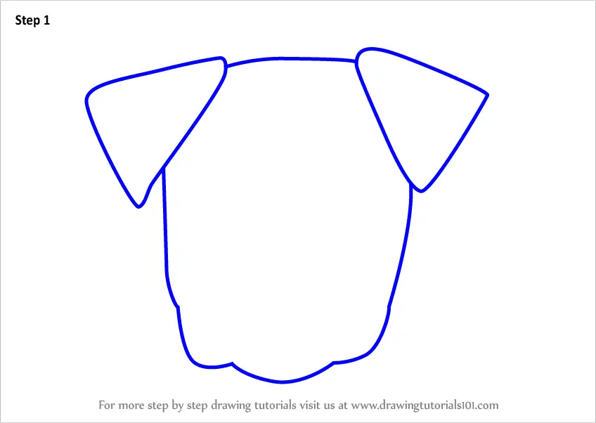 Step By Step How To Draw A Boxer Dog Face For Kids