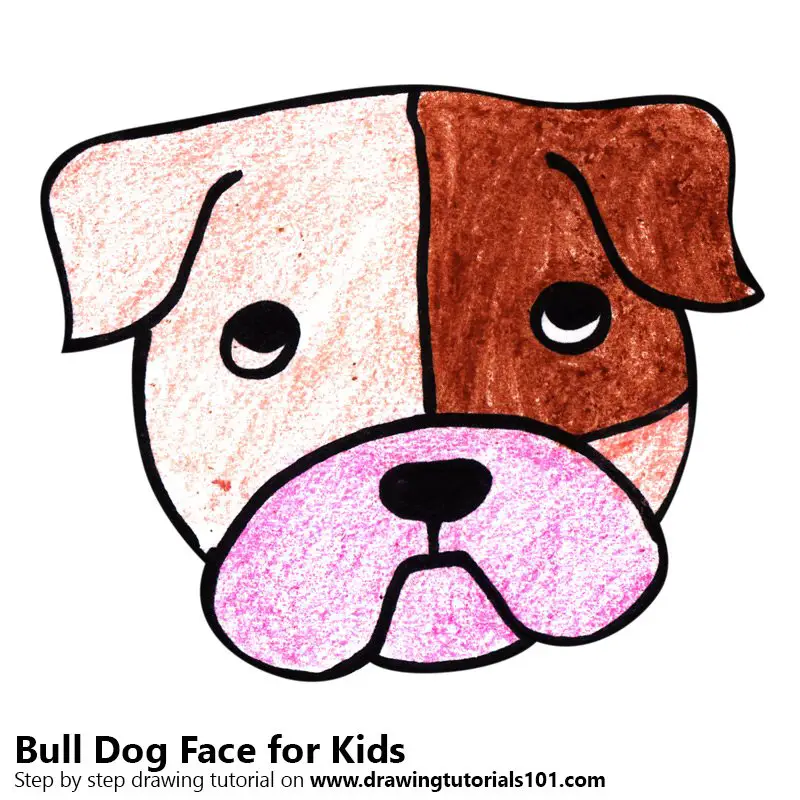 Learn How to Draw a Bull Dog Face for Kids (Animal Faces for Kids) Step ...