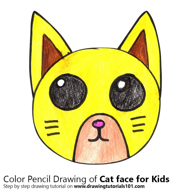 Cat Face for Kids Color Pencil Drawing