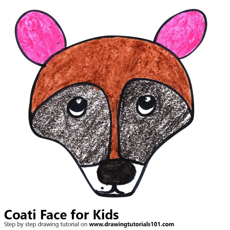 Step by Step How to Draw a Coati Face for Kids