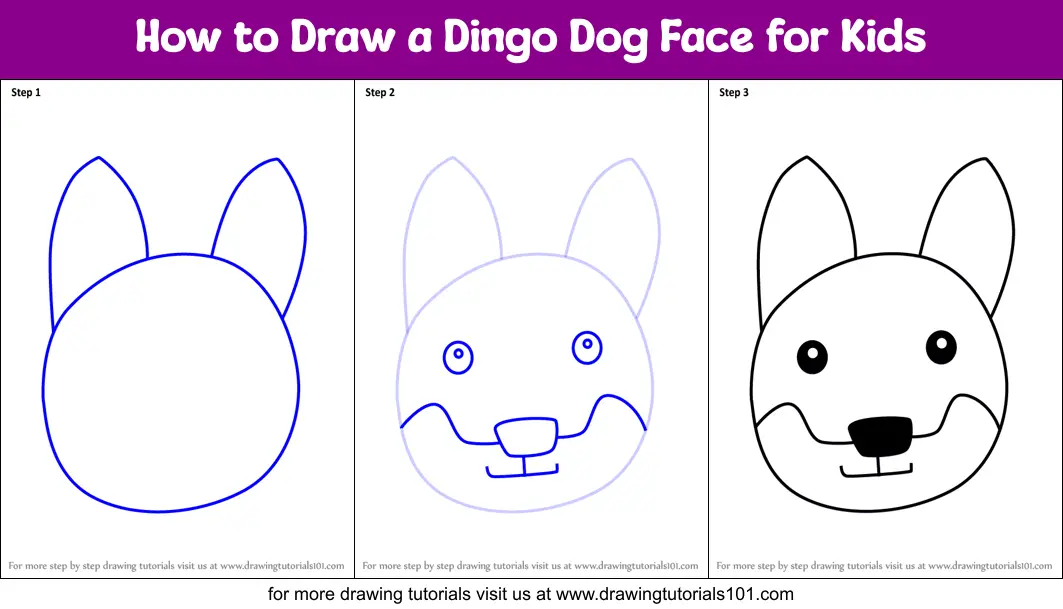 How to Draw a Dingo Dog Face for Kids printable step by step drawing