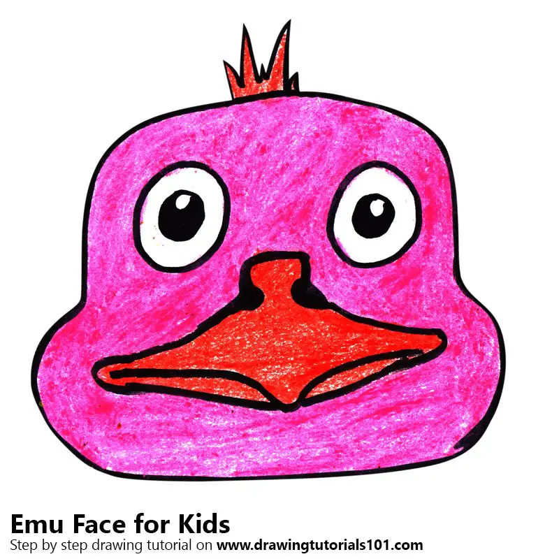 Step by Step How to Draw an Emu Face for Kids : DrawingTutorials101.com