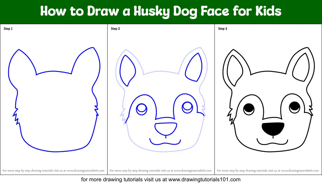 How To Draw A Husky For Kids | Images and Photos finder