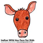 How to Draw an Indian Wild Ass Face for Kids