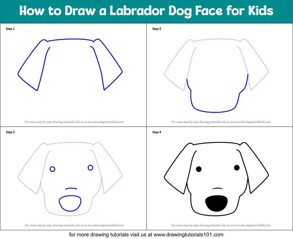 How to Draw a Labrador Dog Face for Kids printable step by step drawing ...