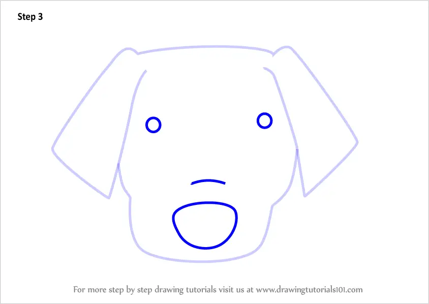 Learn How to Draw a Labrador Dog Face for Kids (Animal Faces for Kids ...