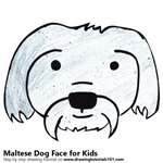 How to Draw a Maltese Dog Face for Kids
