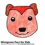 How to Draw a Mongoose Face for Kids