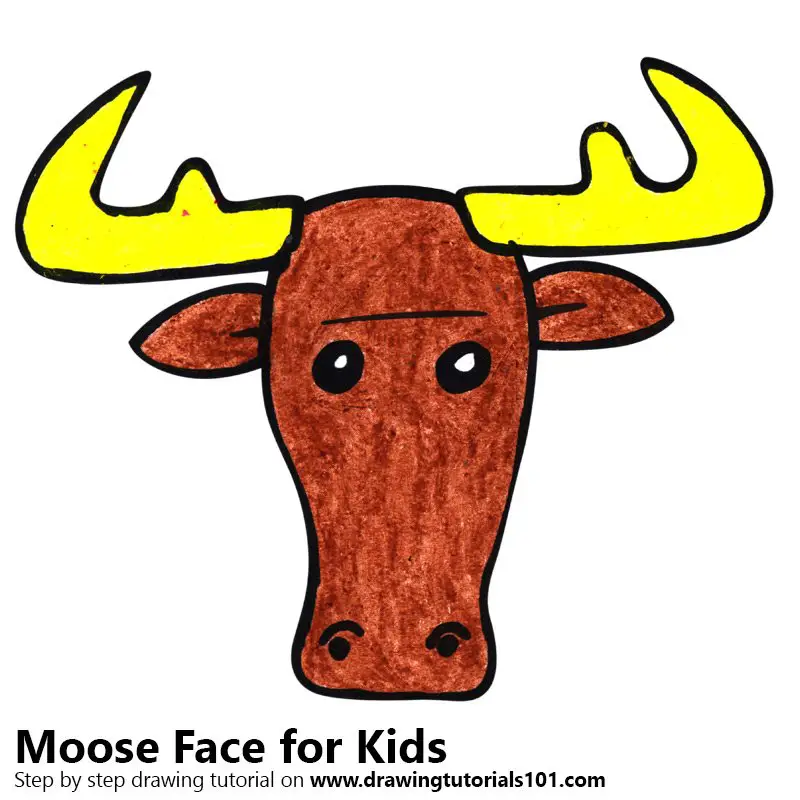 Step by Step How to Draw a Moose Face for Kids