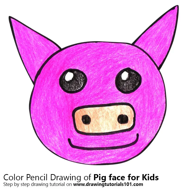 Step by Step How to Draw a Pig Face for Kids