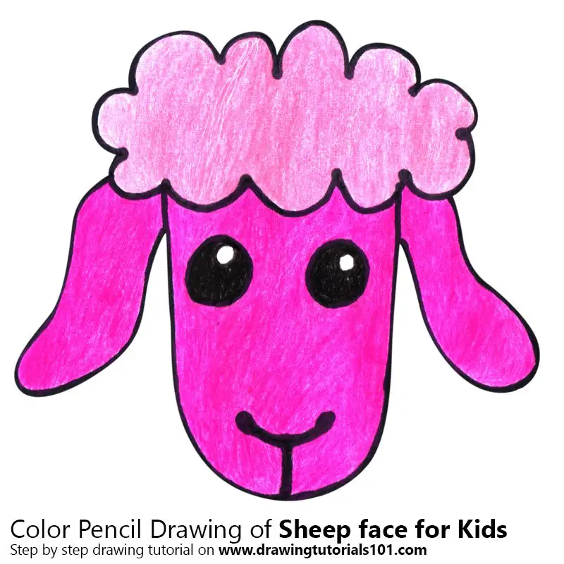 Sheep Face for Kids Color Pencil Drawing