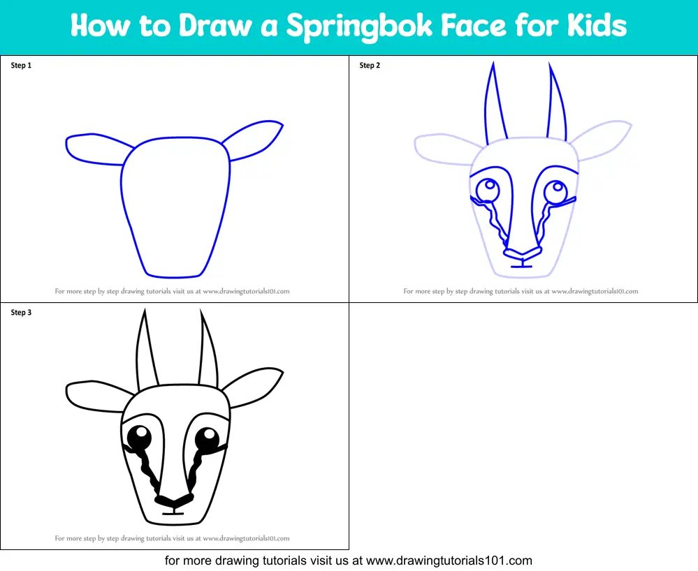How to Draw a Springbok Face for Kids printable step by step drawing