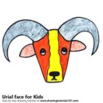 How to Draw an Urial Face for Kids