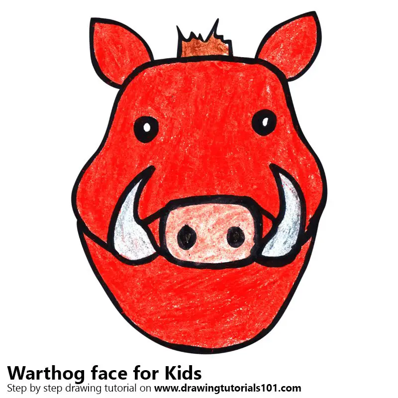 Learn How to Draw a Warthog Face for Kids (Animal Faces for Kids) Step