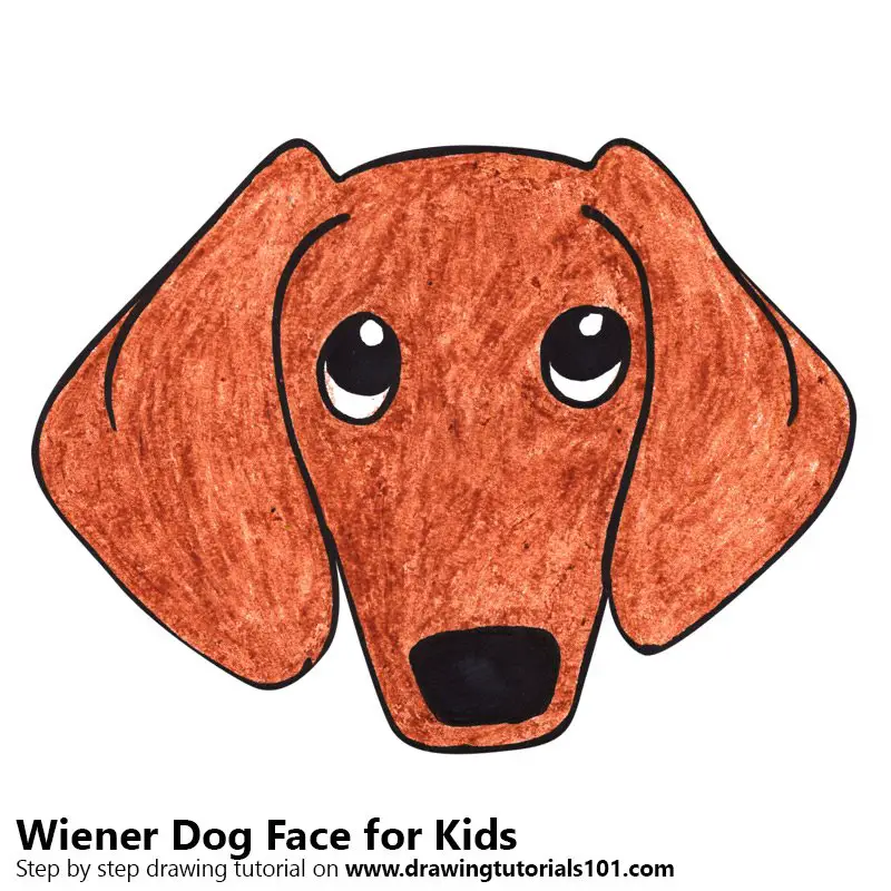 Learn How to Draw a Wiener Dog Face for Kids (Animal Faces for Kids