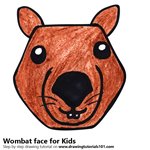 How to Draw a Wombat face for Kids