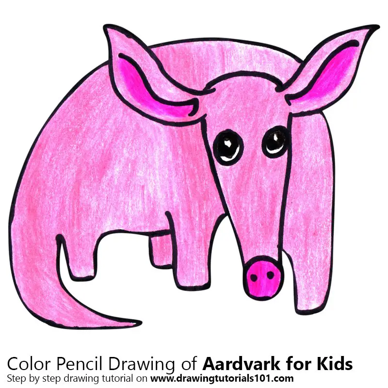 Aardvark for Kids Color Pencil Drawing