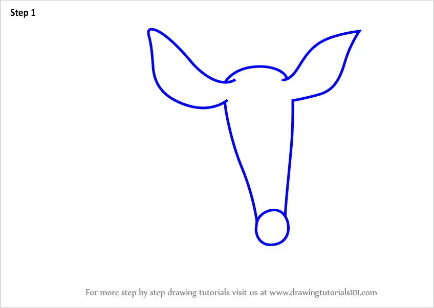 Step by Step How to Draw an Aardvark for Kids : DrawingTutorials101.com