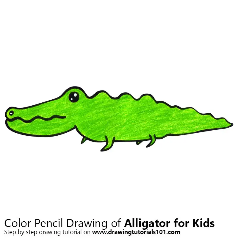 Learn How to Draw an Alligator for Kids (Animals for Kids) Step by Step :  Drawing Tutorials