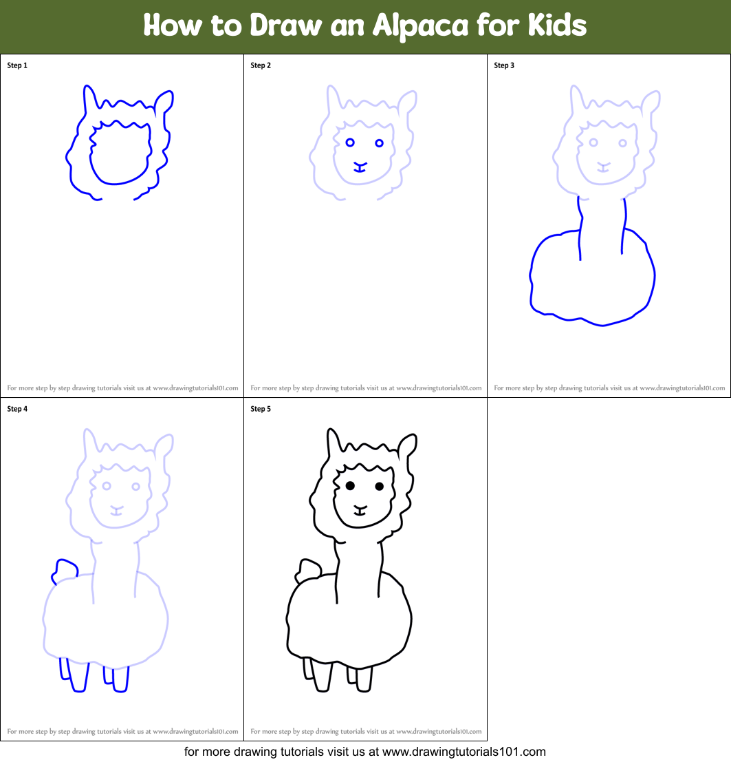 How to Draw an Alpaca for Kids printable step by step drawing sheet