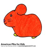 How to Draw an American Pika for Kids