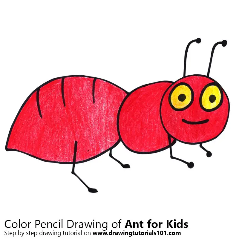 Ant for Kids Color Pencil Drawing