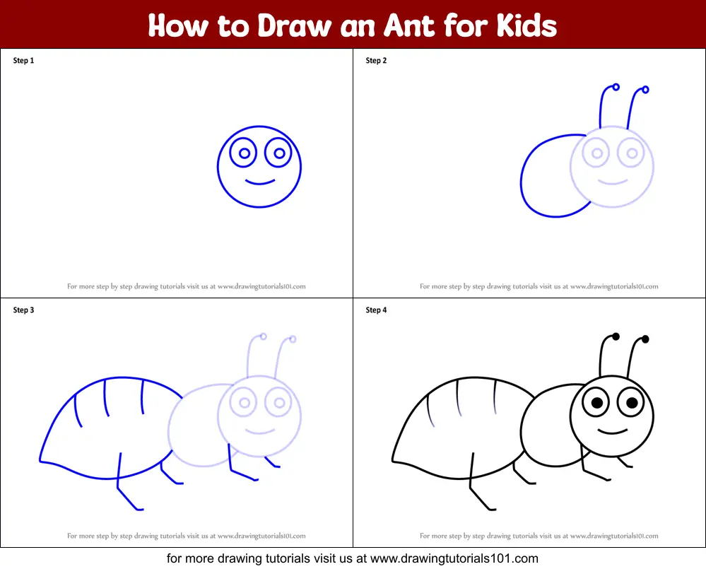 How to Draw an Ant for Kids printable step by step drawing sheet