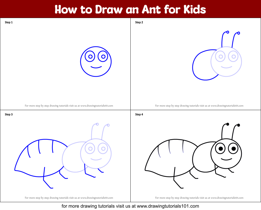 How to Draw an Ant for Kids printable step by step drawing sheet