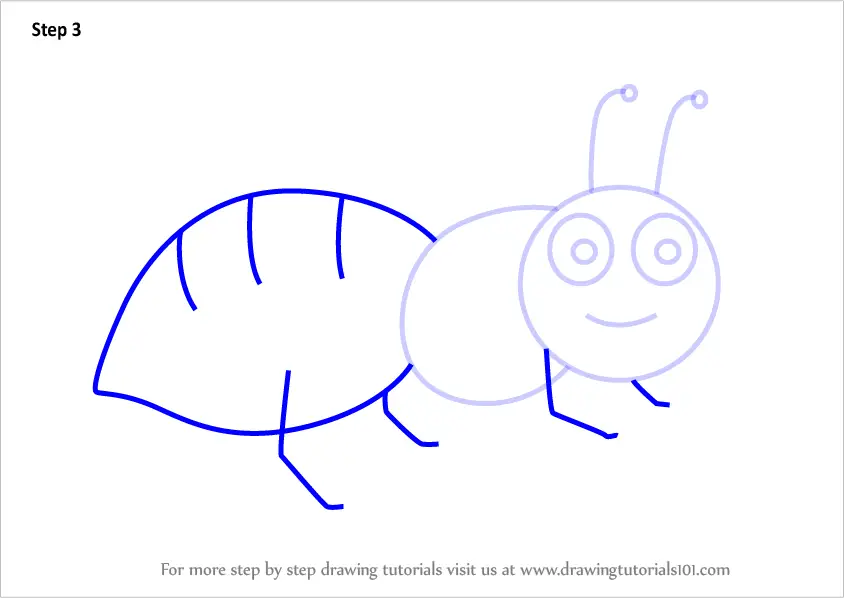 Learn How to Draw an Ant for Kids (Animals for Kids) Step by Step