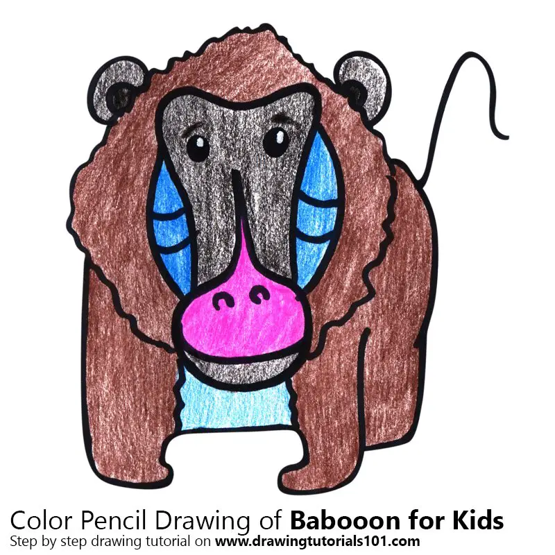 Baboon for Kids Color Pencil Drawing
