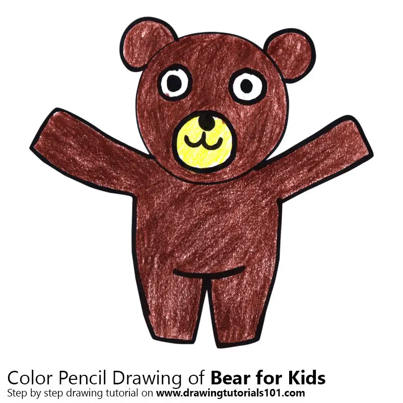 Bear for Kids Color Pencil Drawing