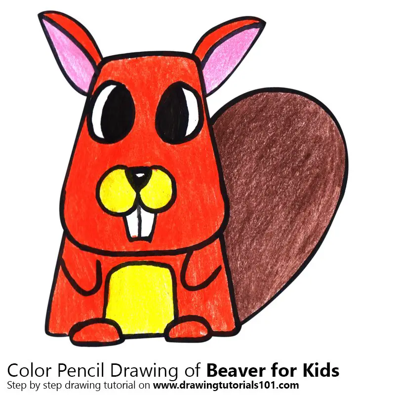 Beaver for Kids Color Pencil Drawing