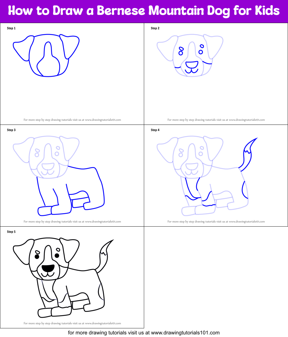 How to Draw a Bernese Mountain Dog for Kids printable step by step ...