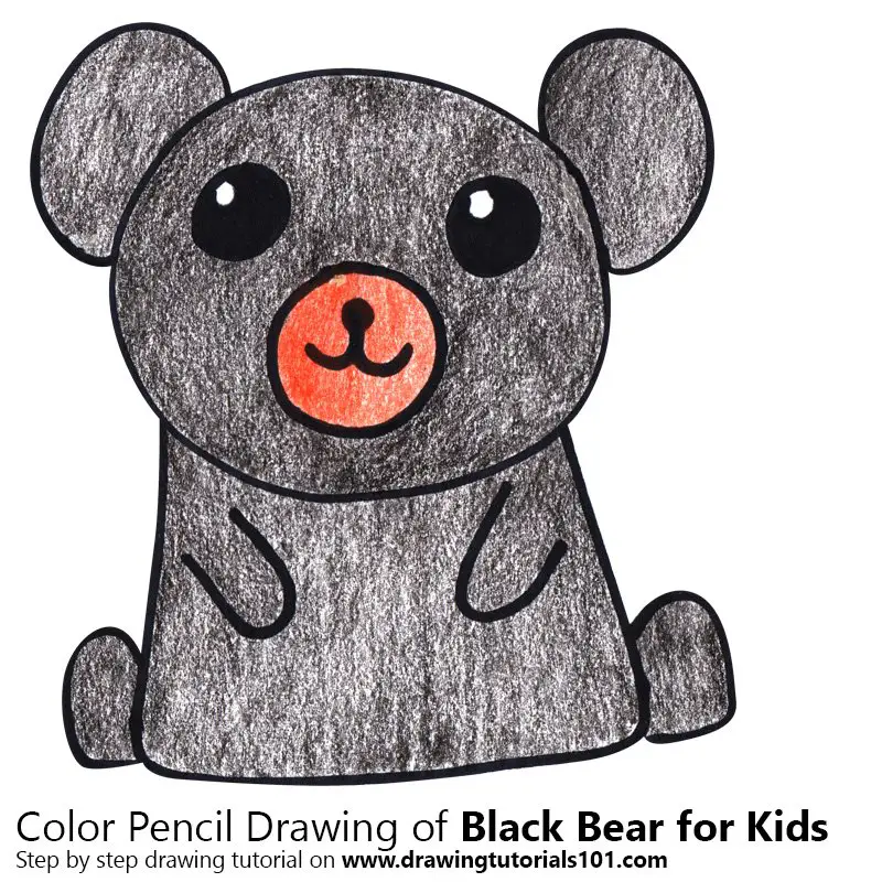 Black Bear for Kids Color Pencil Drawing