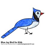 How to Draw a Blue Jay Bird for Kids