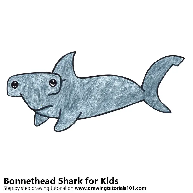 Learn How to Draw a Shark for Kids (Animals for Kids) Step