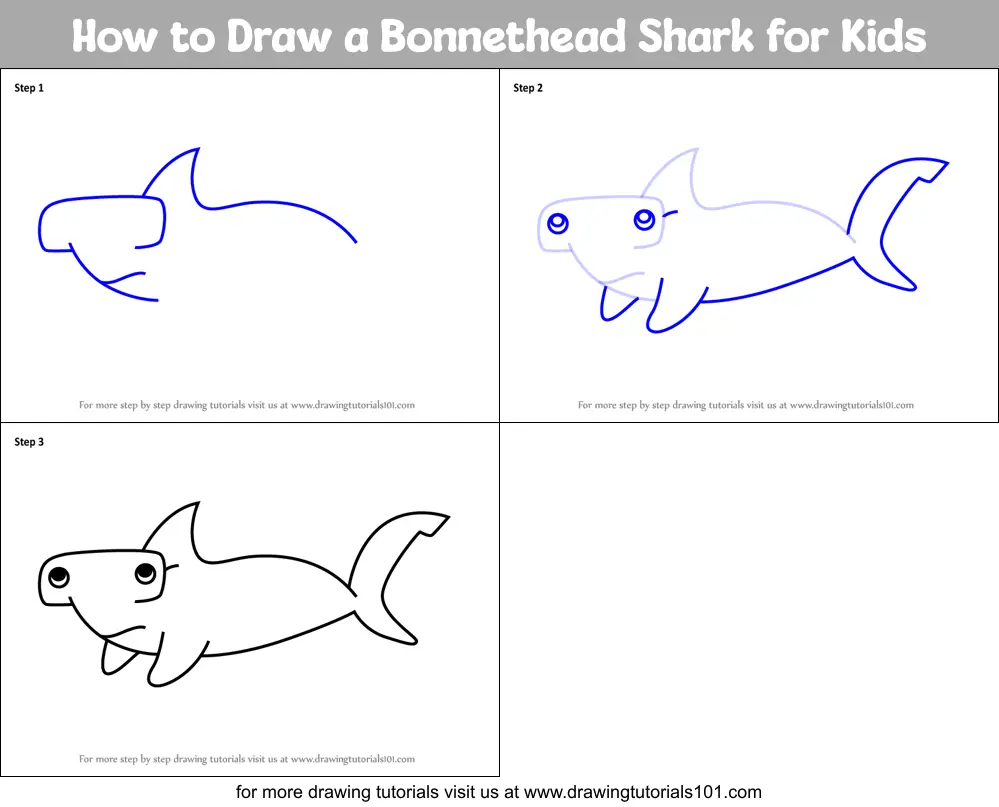 How to Draw a Shark for Kids printable step by step drawing