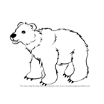 How to Draw Brown Bear for Kids