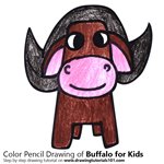How to Draw a Buffalo for Kids