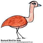 How to Draw a Bustard Bird for Kids