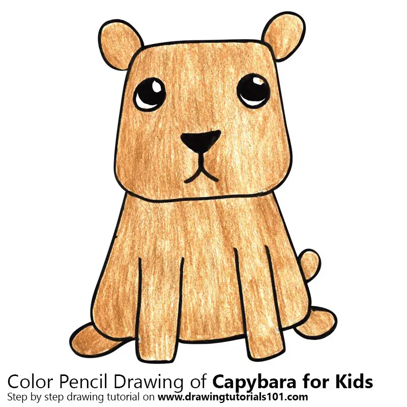 Capybara for Kids Color Pencil Drawing