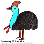 How to Draw a Cassowary Bird for Kids