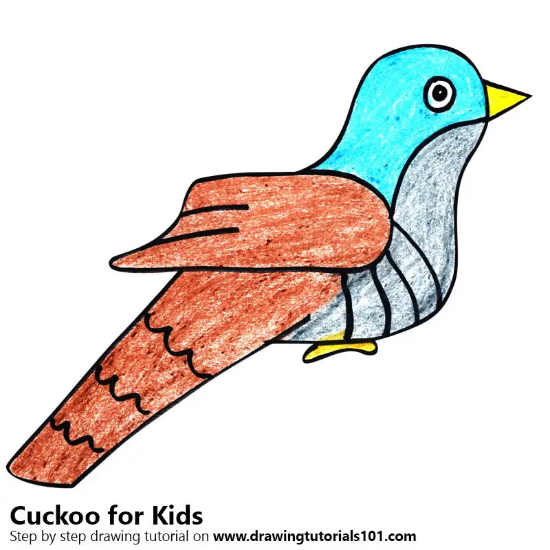 Learn How to Draw a Cuckoo for Kids (Animals for Kids) Step by Step :  Drawing Tutorials