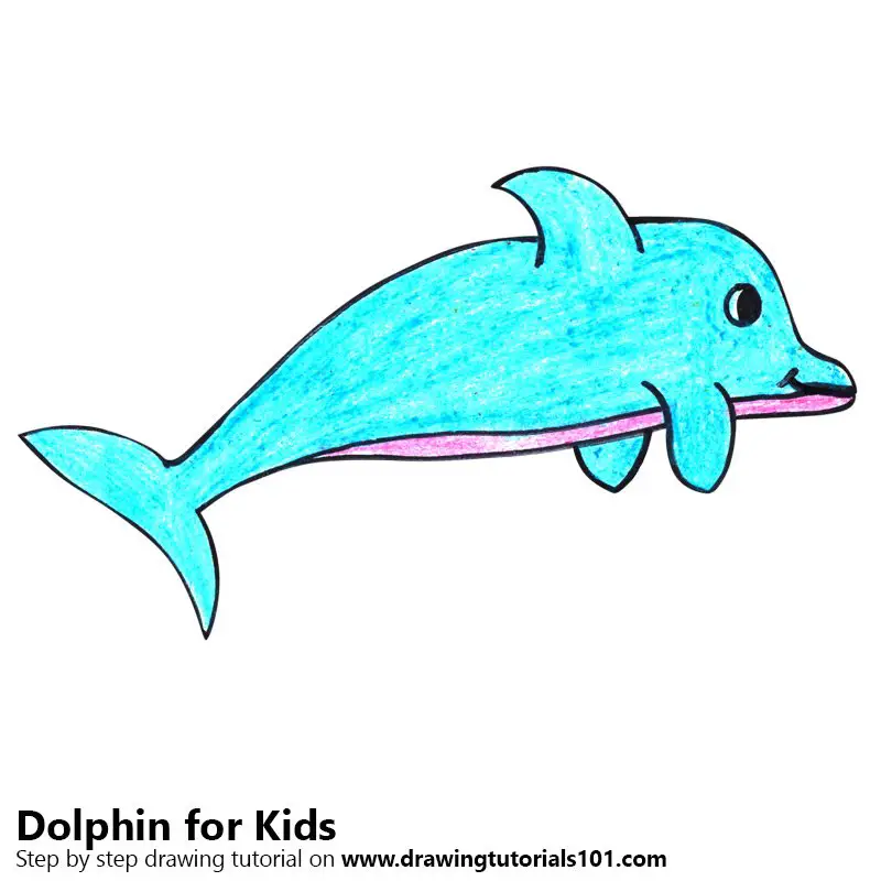 Step by Step How to Draw a Dolphin for Kids Very Easy